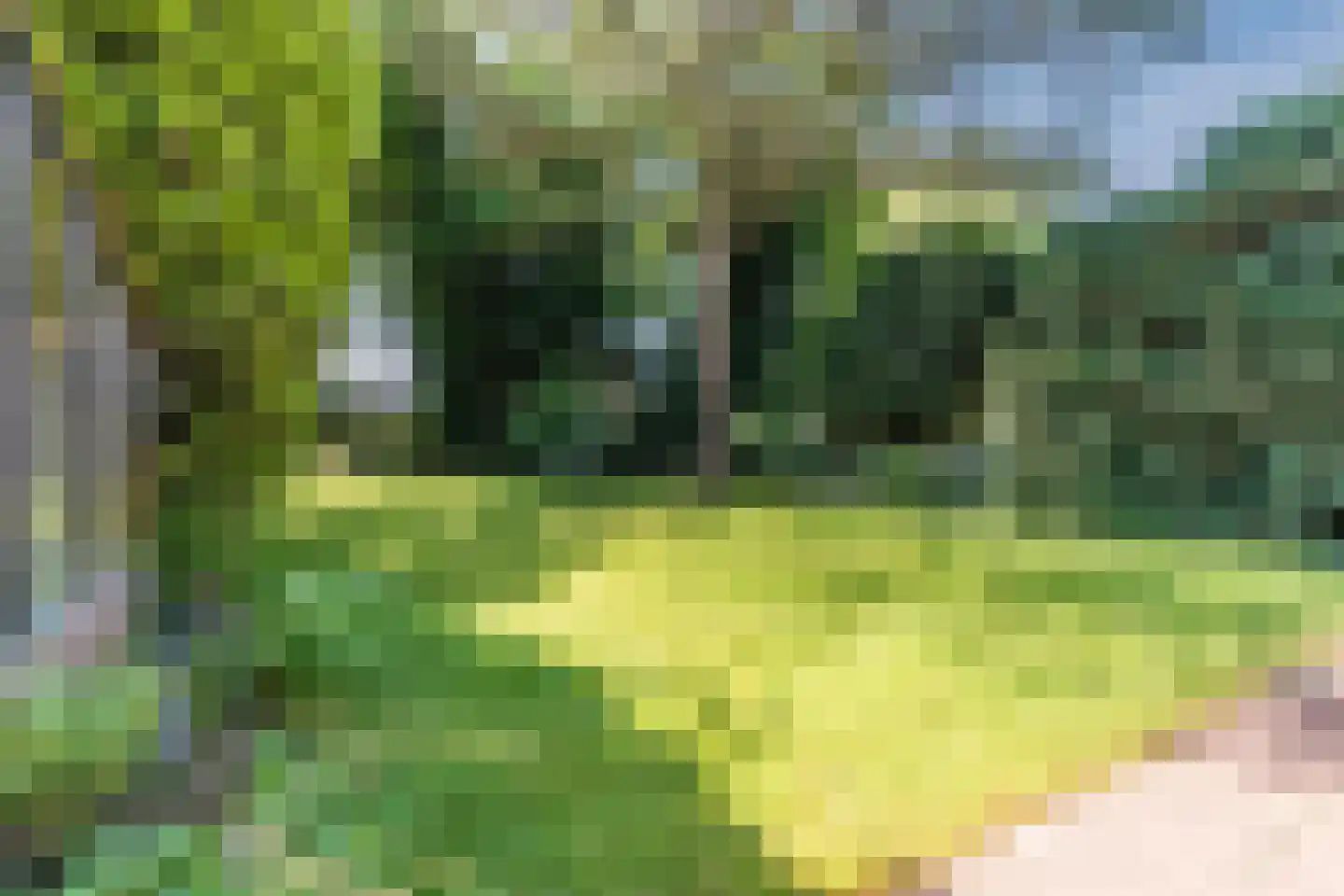 Dorpstraat 11 Leende thumbnail 67