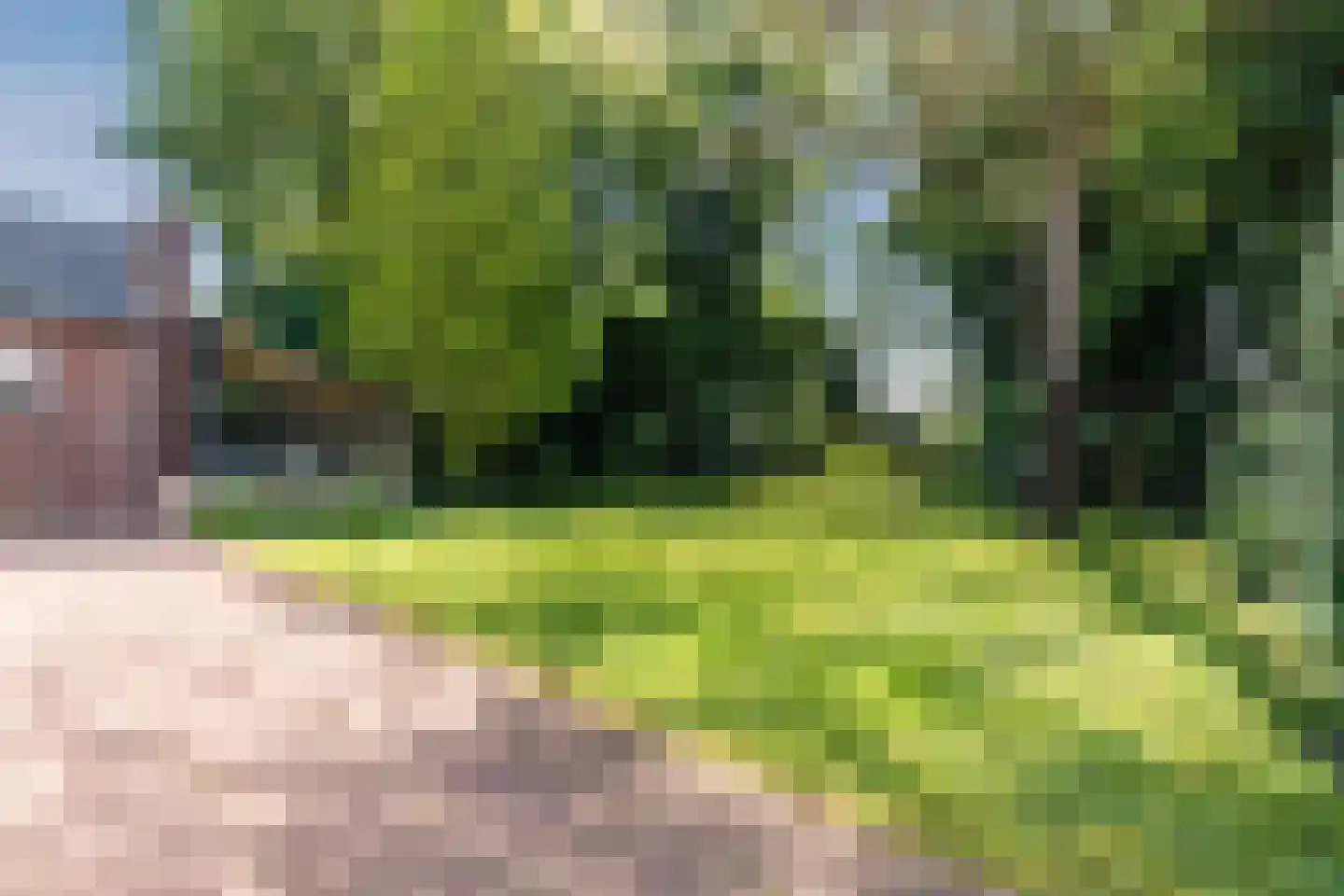 Dorpstraat 11 Leende thumbnail 68