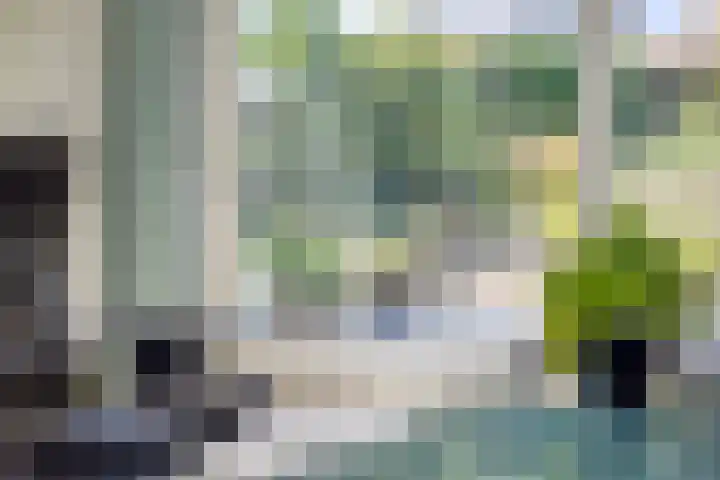 Dorpstraat 111 Brunssum thumbnail 15