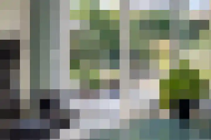 Dorpstraat 111 Brunssum thumbnail 16