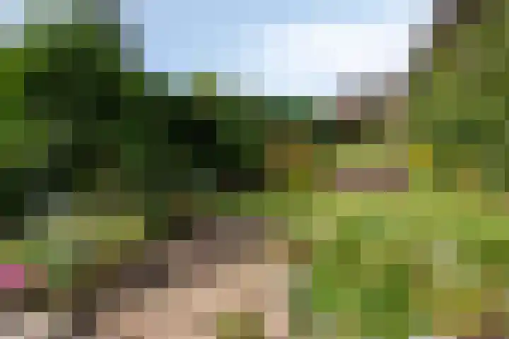 Dorpstraat 111 Brunssum thumbnail 37