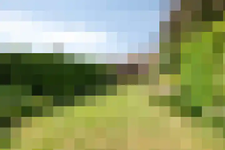 Dorpstraat 111 Brunssum thumbnail 41