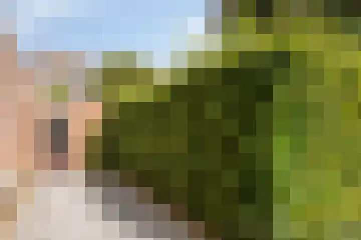 Dorpstraat 111 Brunssum thumbnail 43