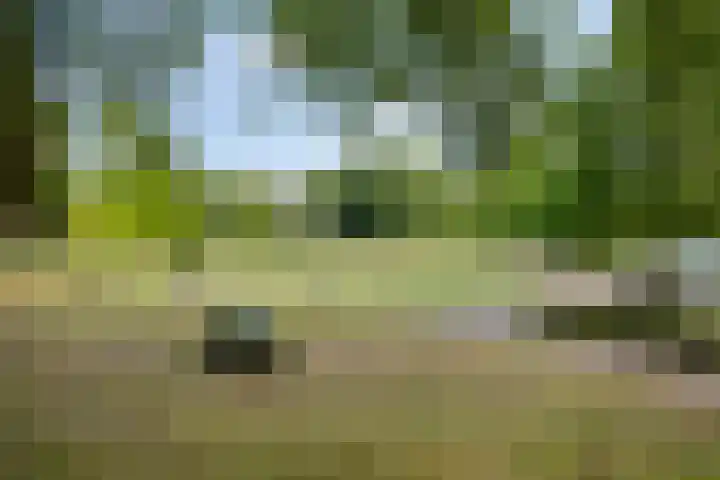 Dorpstraat 111 Brunssum thumbnail 50