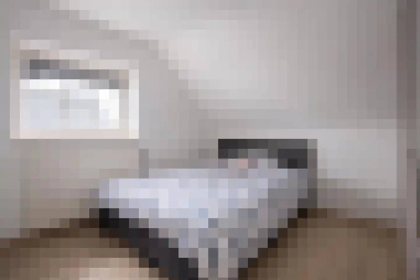 Dorpstraat 112 Echt thumbnail 13