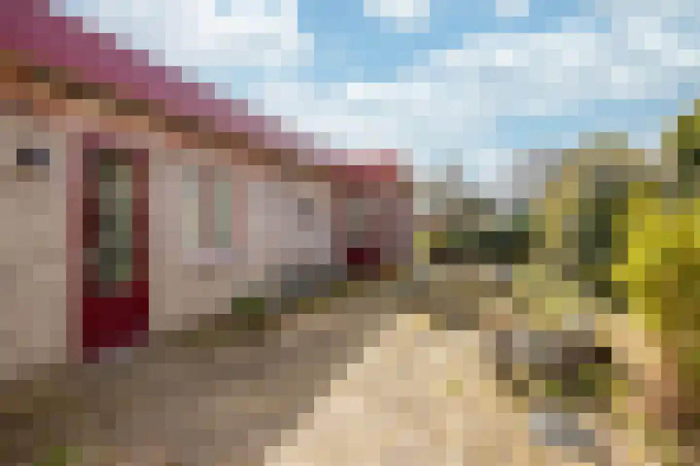Dorpstraat 112 Echt thumbnail 14