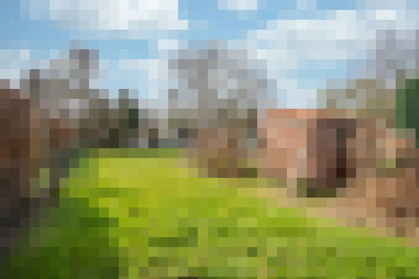 Dorpstraat 112 Echt thumbnail 20