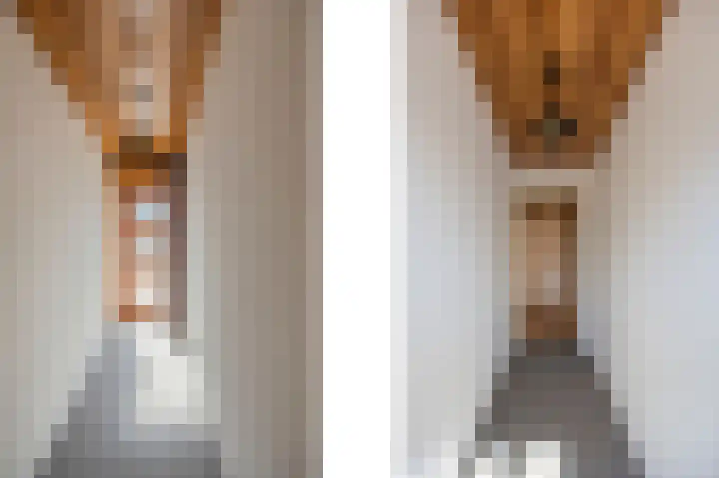 Dorpstraat 113 Echt thumbnail 10