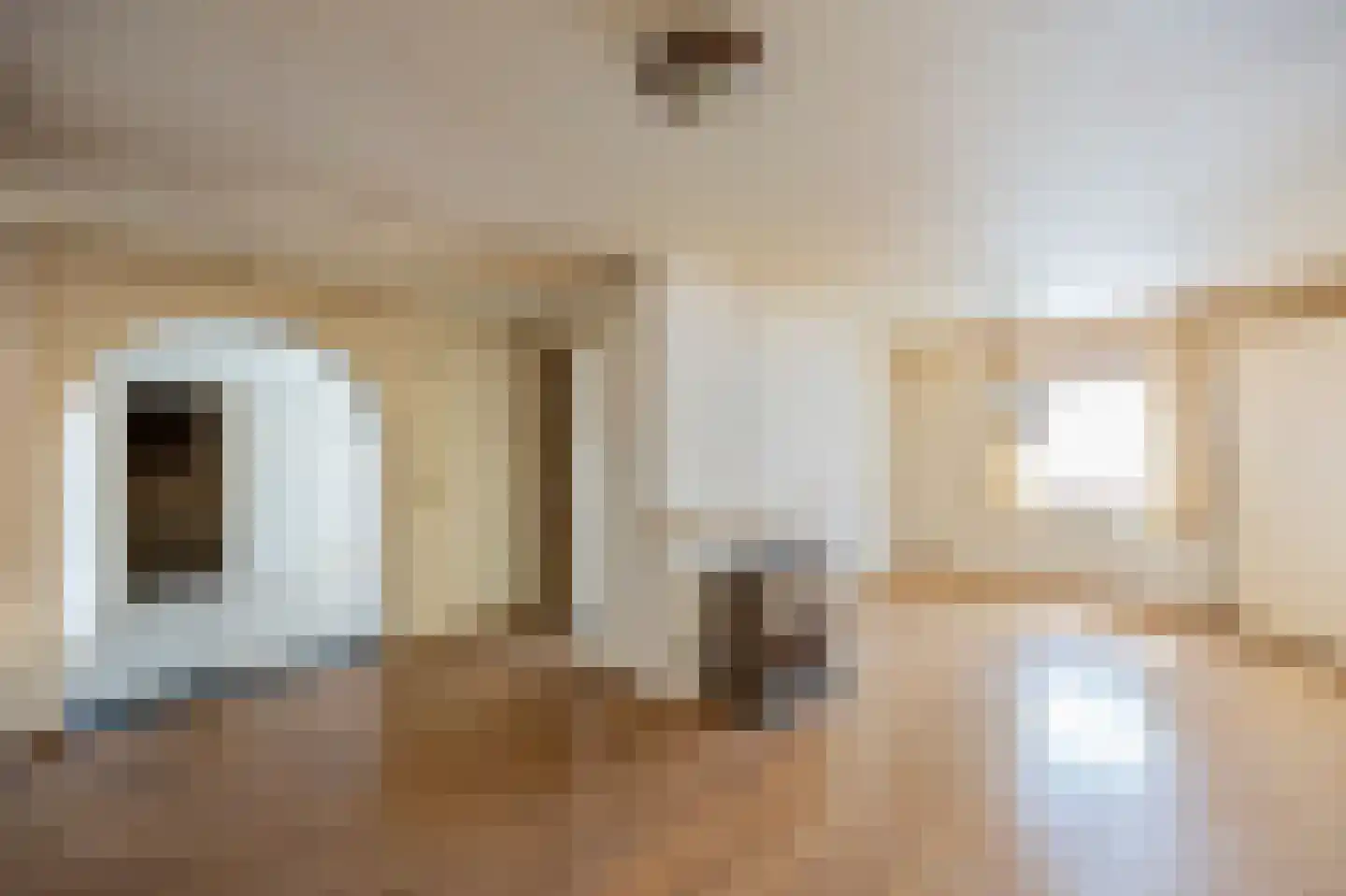 Dorpstraat 113 Echt thumbnail 12