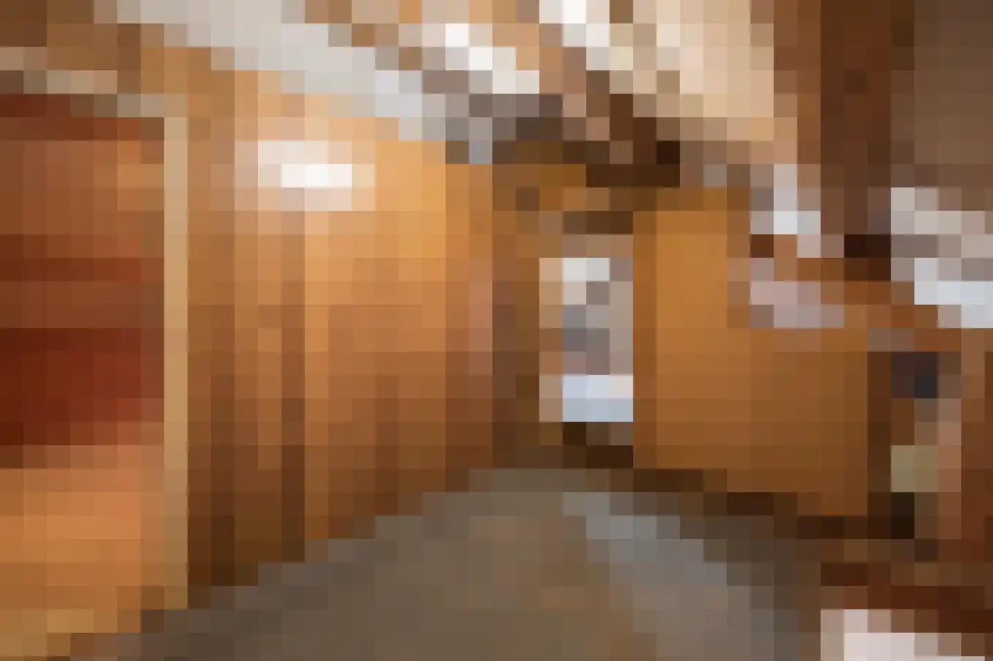 Dorpstraat 113 Echt thumbnail 28