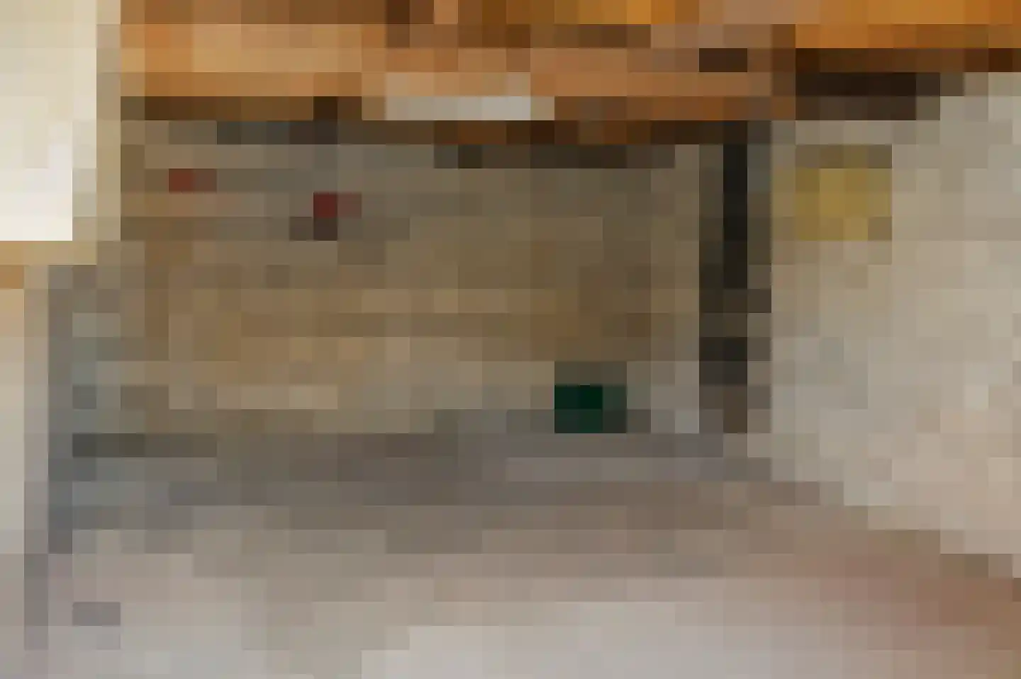 Dorpstraat 113 Echt thumbnail 29