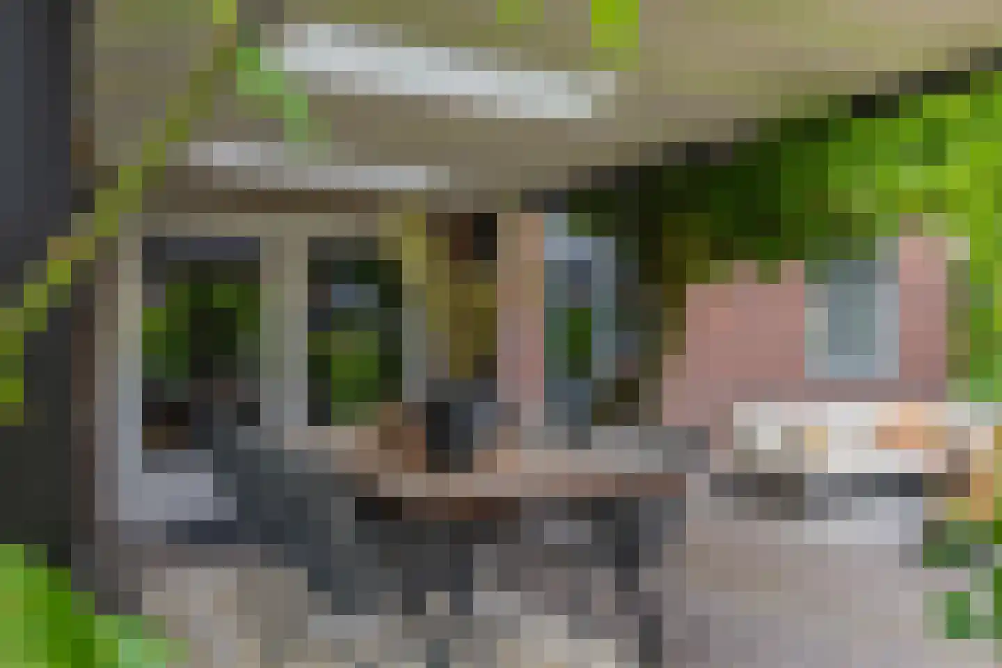 Dorpstraat 116 Westervoort thumbnail 29