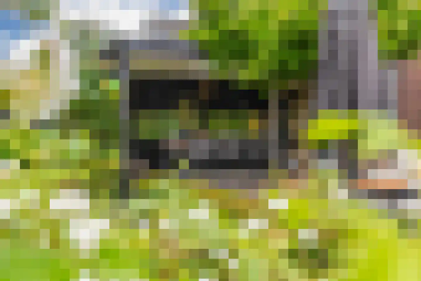 Dorpstraat 116 Westervoort thumbnail 33