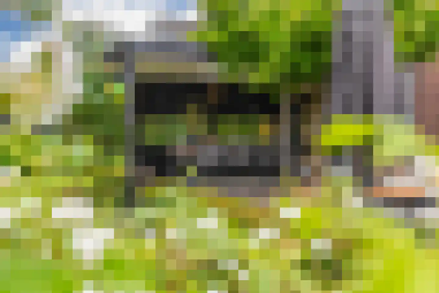 Dorpstraat 116 Westervoort thumbnail 34