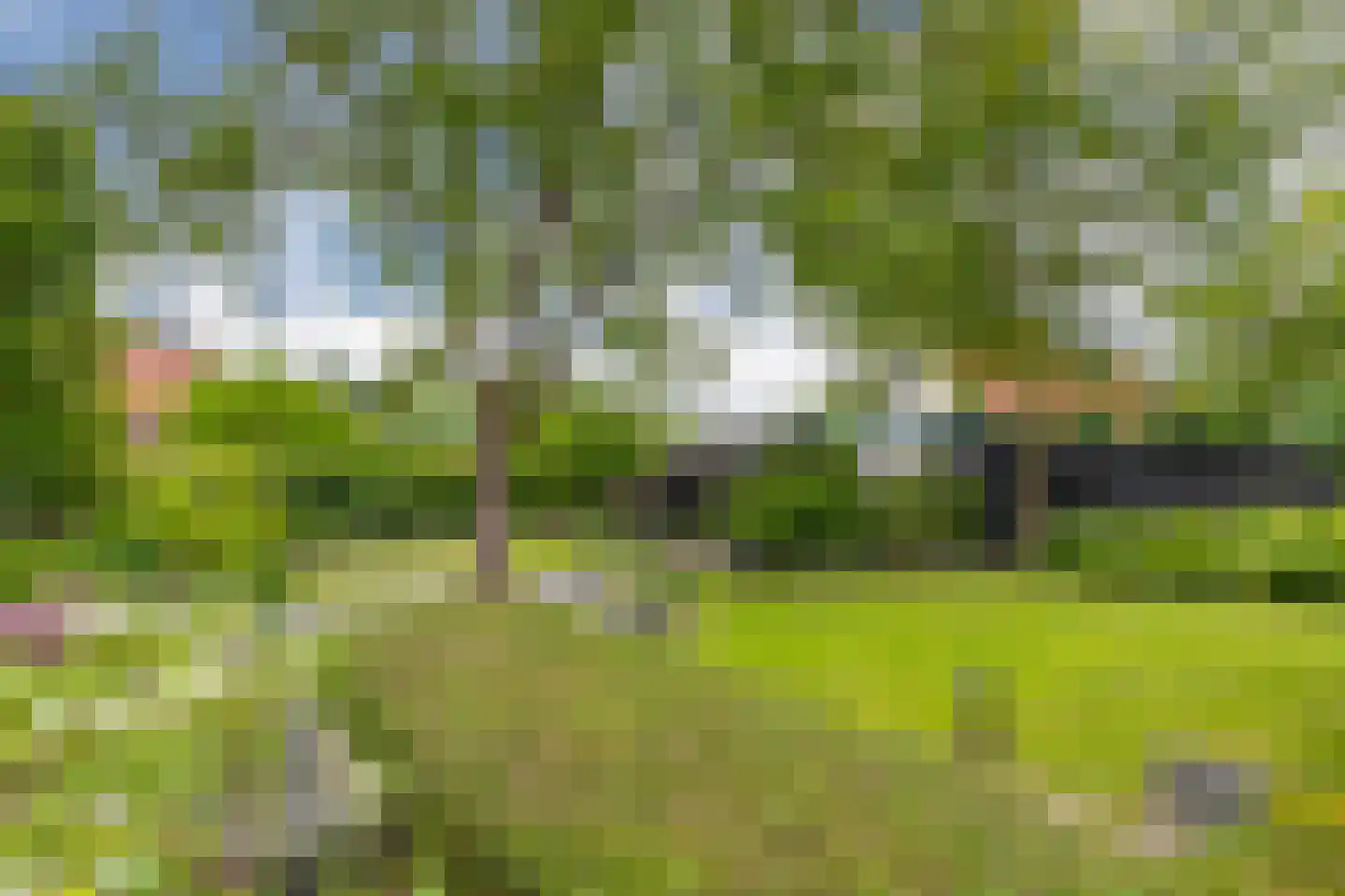 Dorpstraat 116 Westervoort thumbnail 36