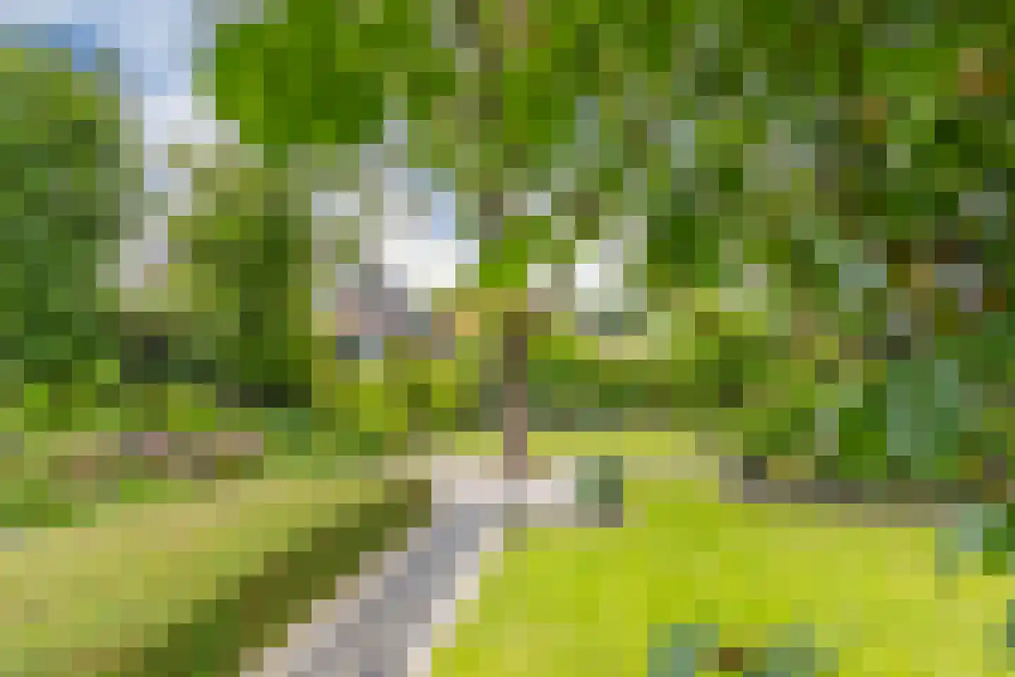 Dorpstraat 116 Westervoort thumbnail 37