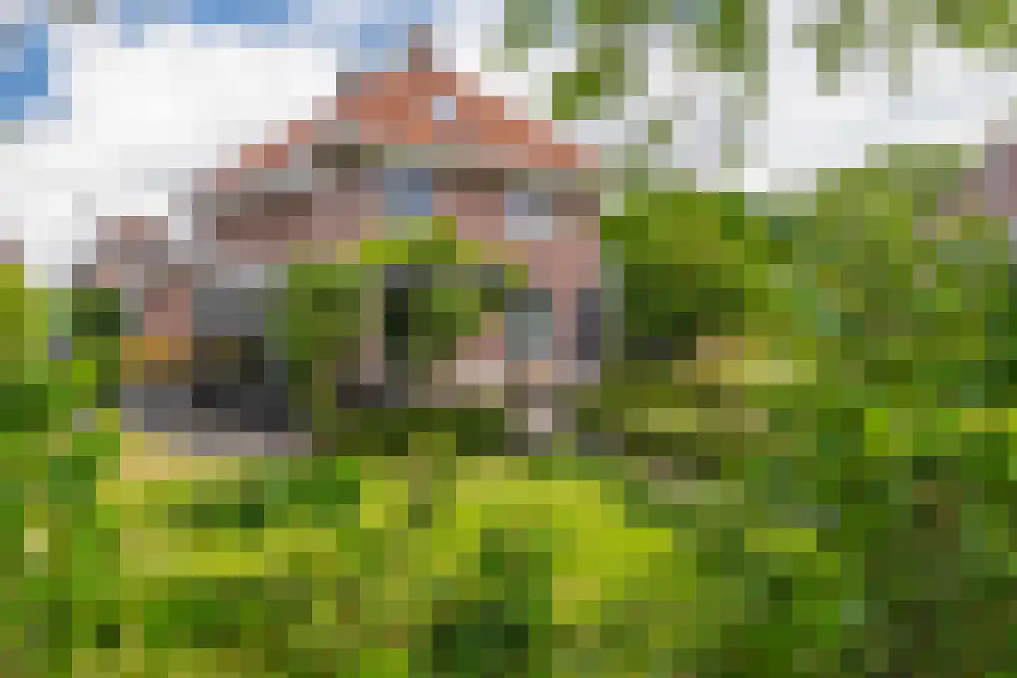 Dorpstraat 116 Westervoort thumbnail 42