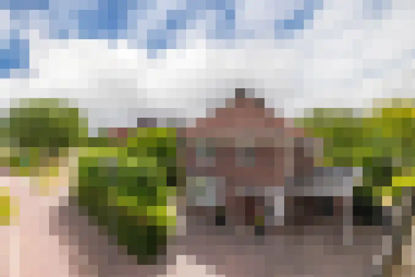 Dorpstraat 116 Westervoort thumbnail 5