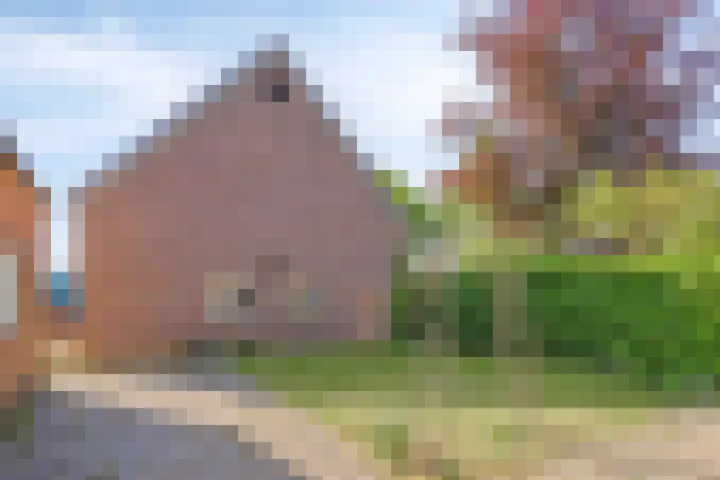 Dorpstraat 117 Luyksgestel thumbnail 31