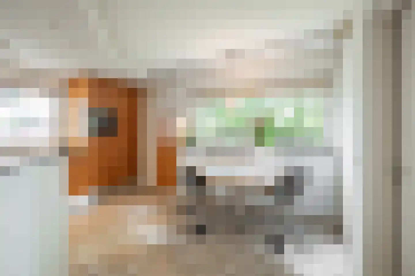 Dorpstraat 128 Echt thumbnail 10