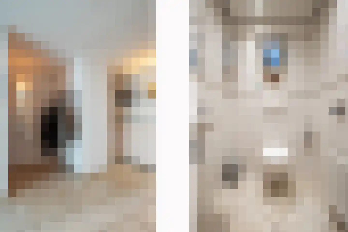 Dorpstraat 128 Echt thumbnail 12