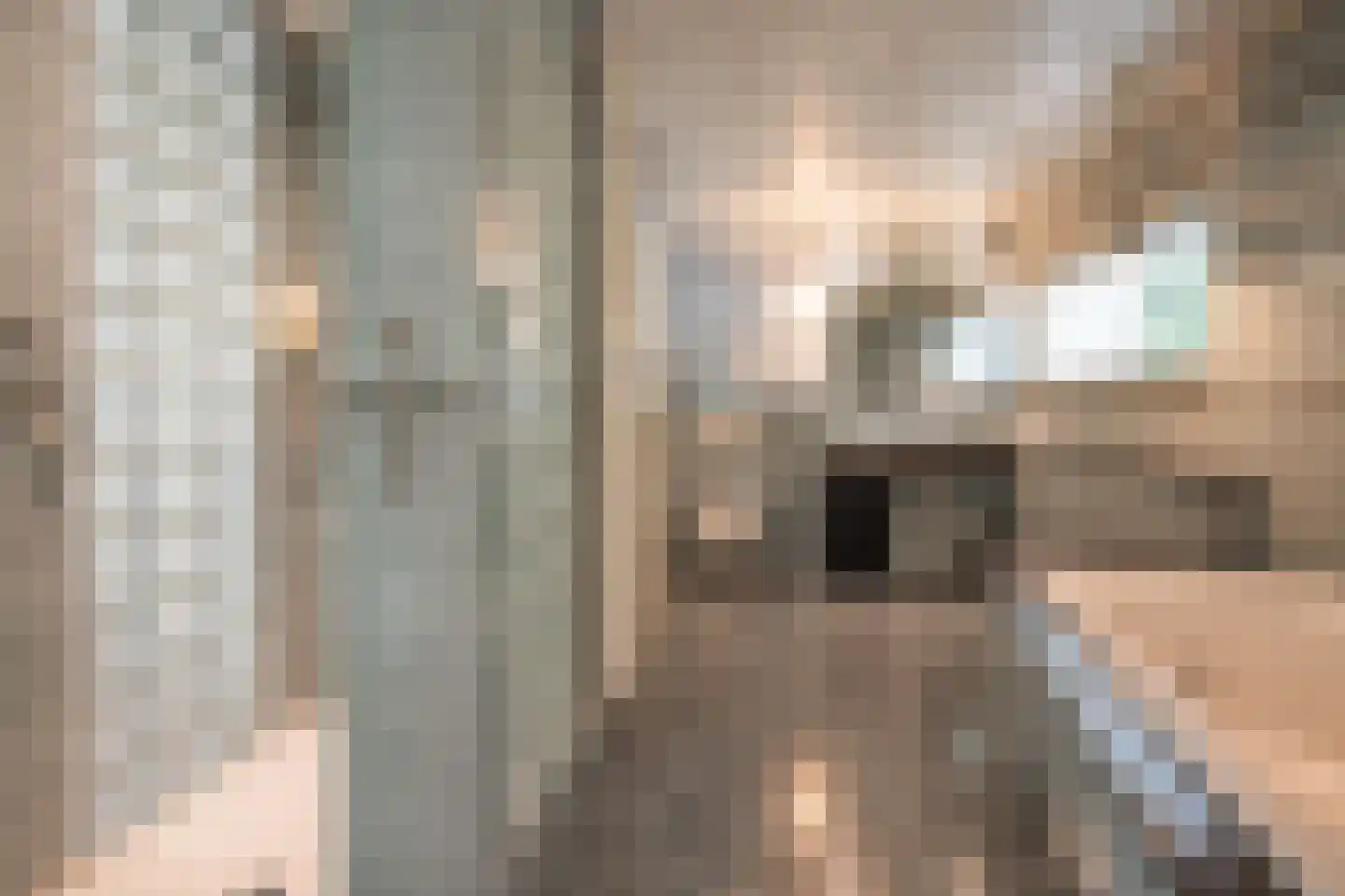 Dorpstraat 128 Echt thumbnail 22