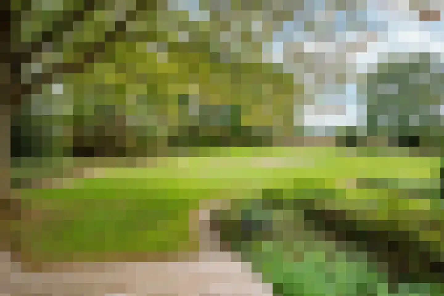 Dorpstraat 128 Echt thumbnail 33