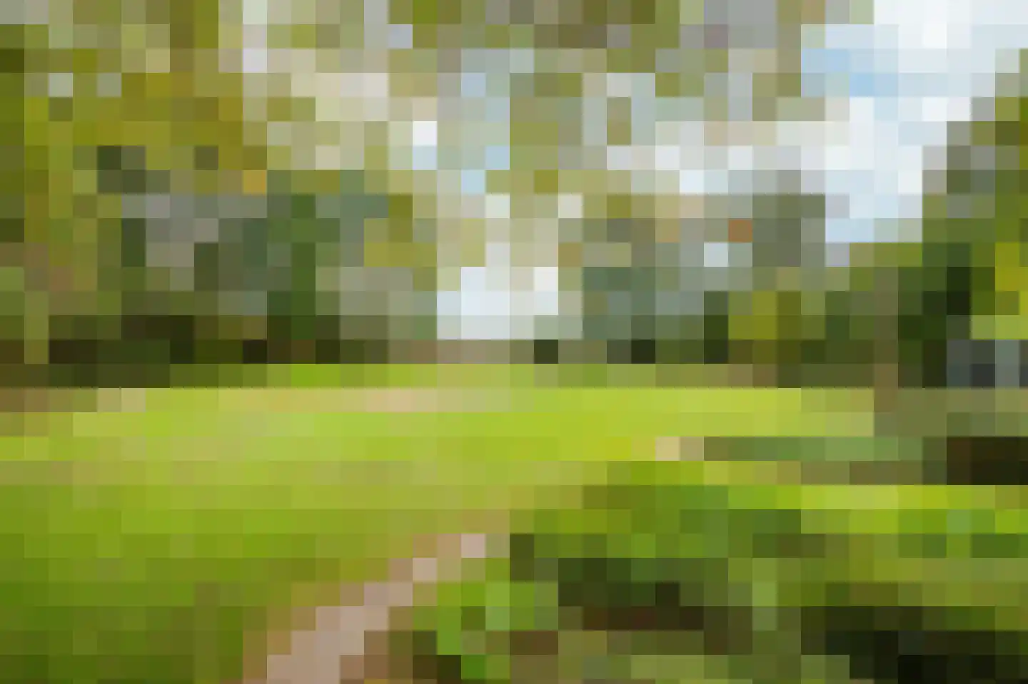 Dorpstraat 128 Echt thumbnail 35