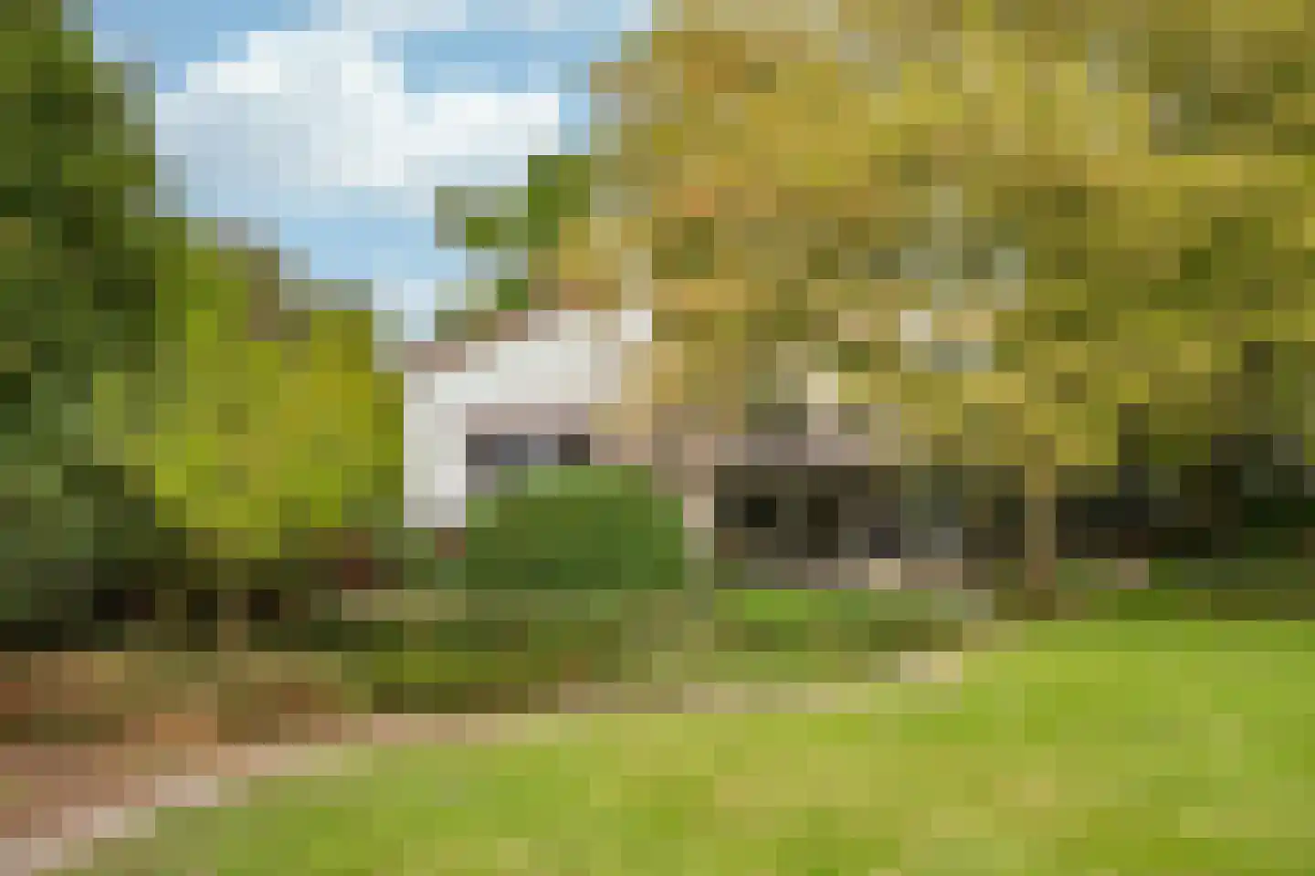 Dorpstraat 128 Echt thumbnail 37
