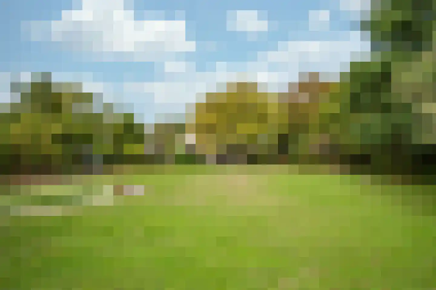 Dorpstraat 128 Echt thumbnail 38