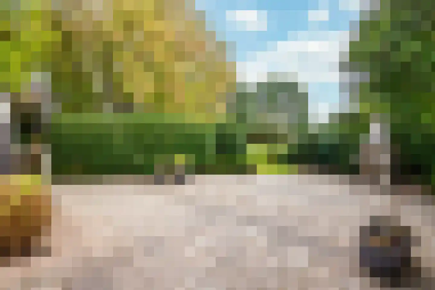 Dorpstraat 128 Echt thumbnail 47