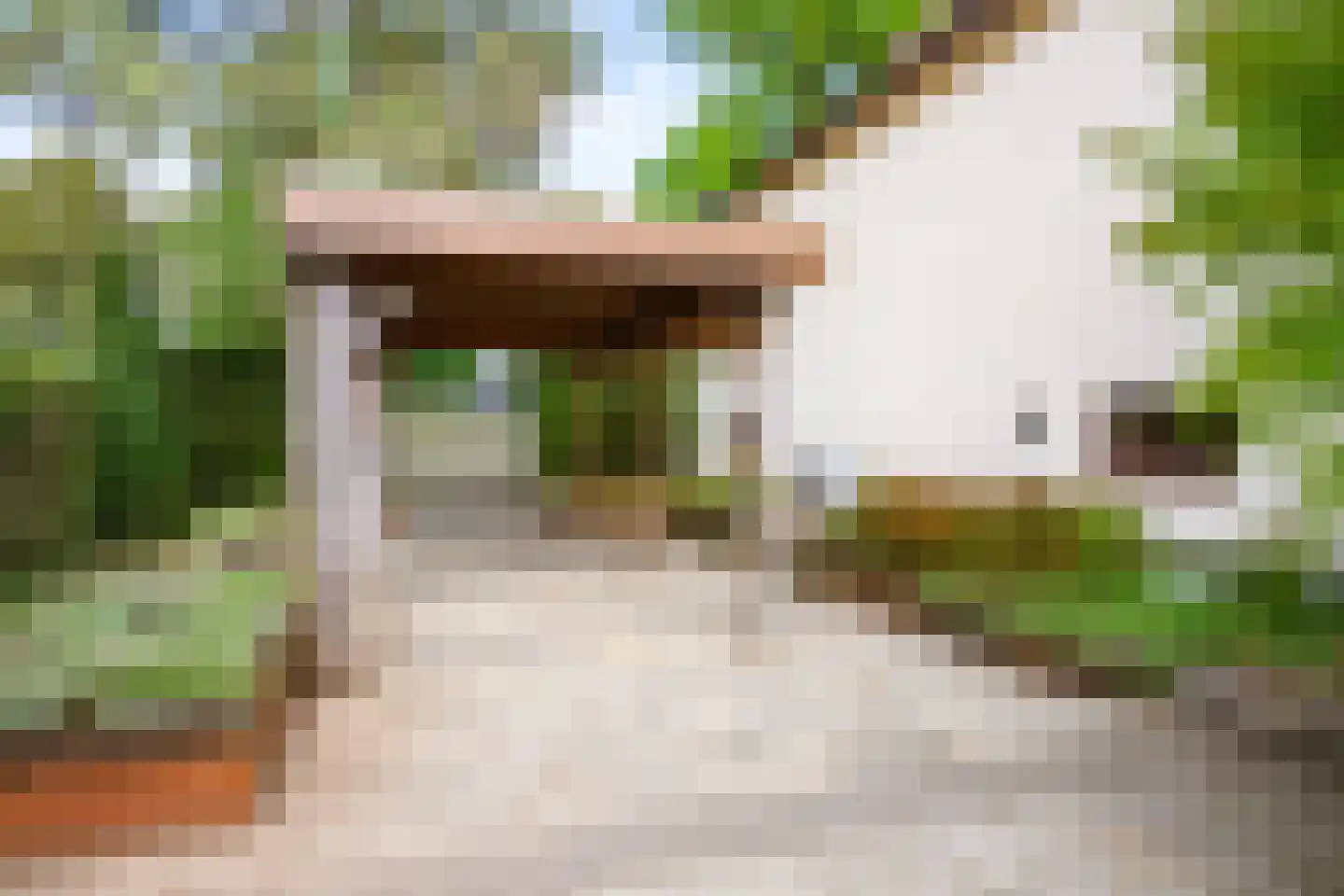 Dorpstraat 128 Echt thumbnail 48
