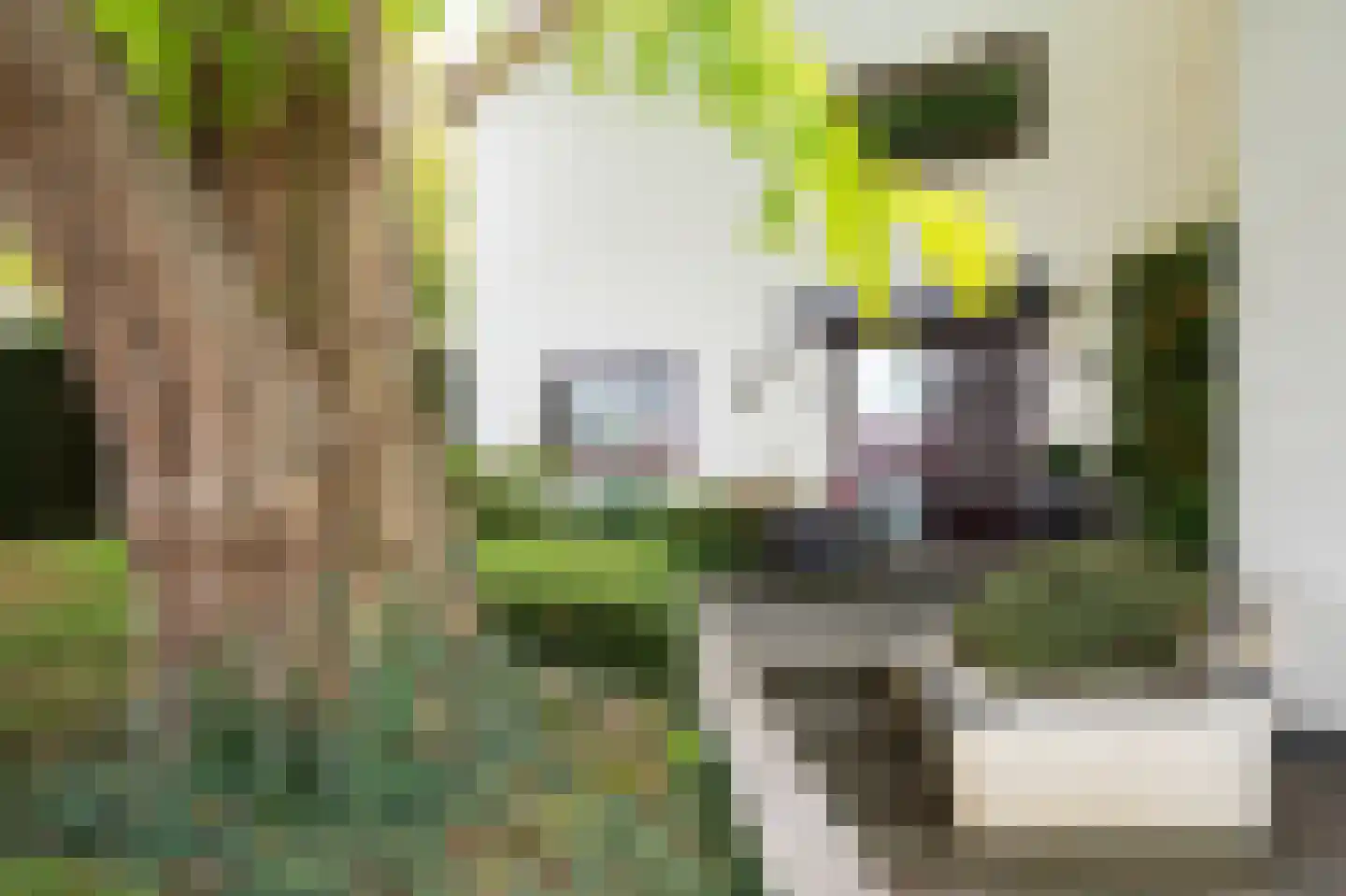 Dorpstraat 128 Echt thumbnail 49