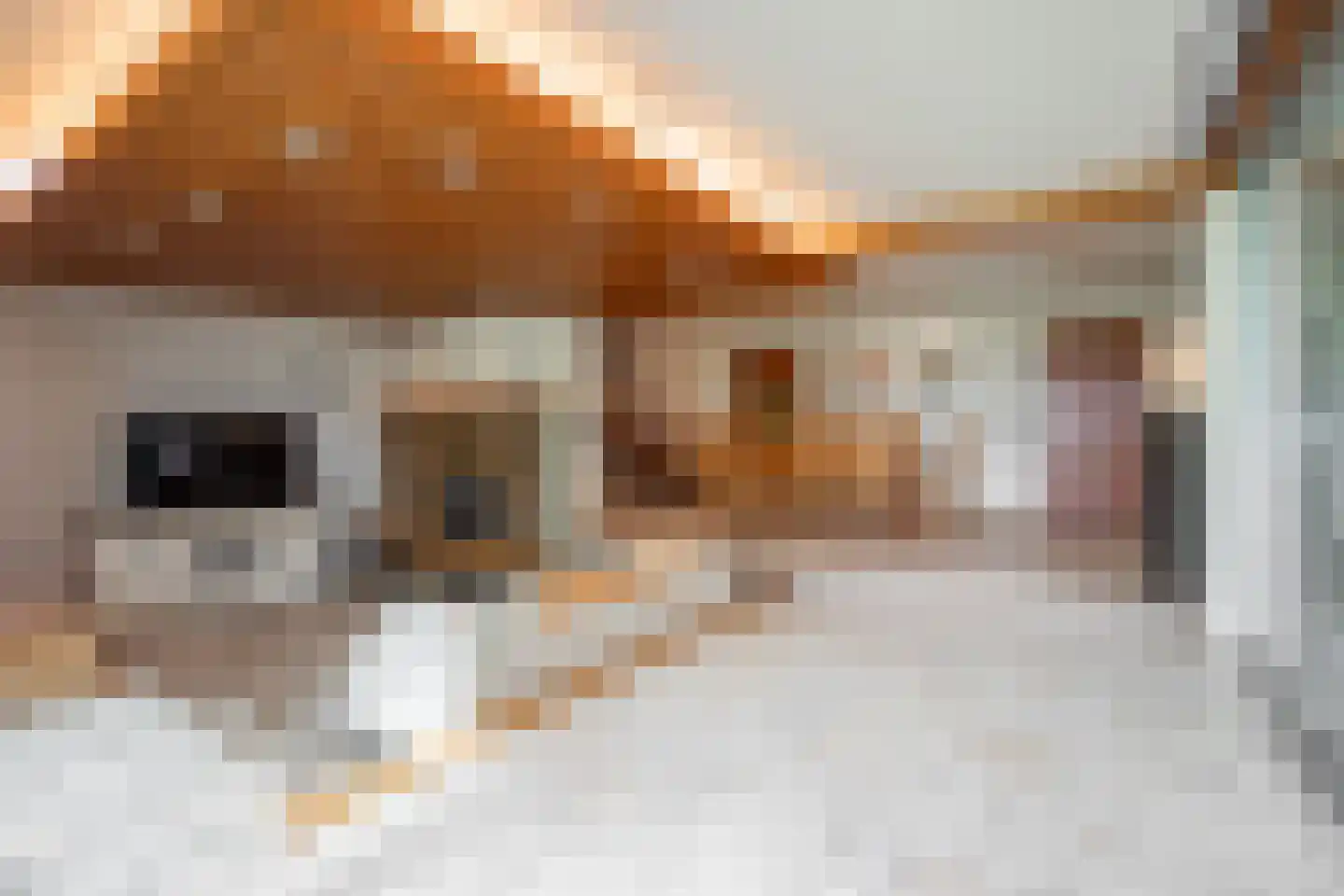 Dorpstraat 128 Echt thumbnail 5