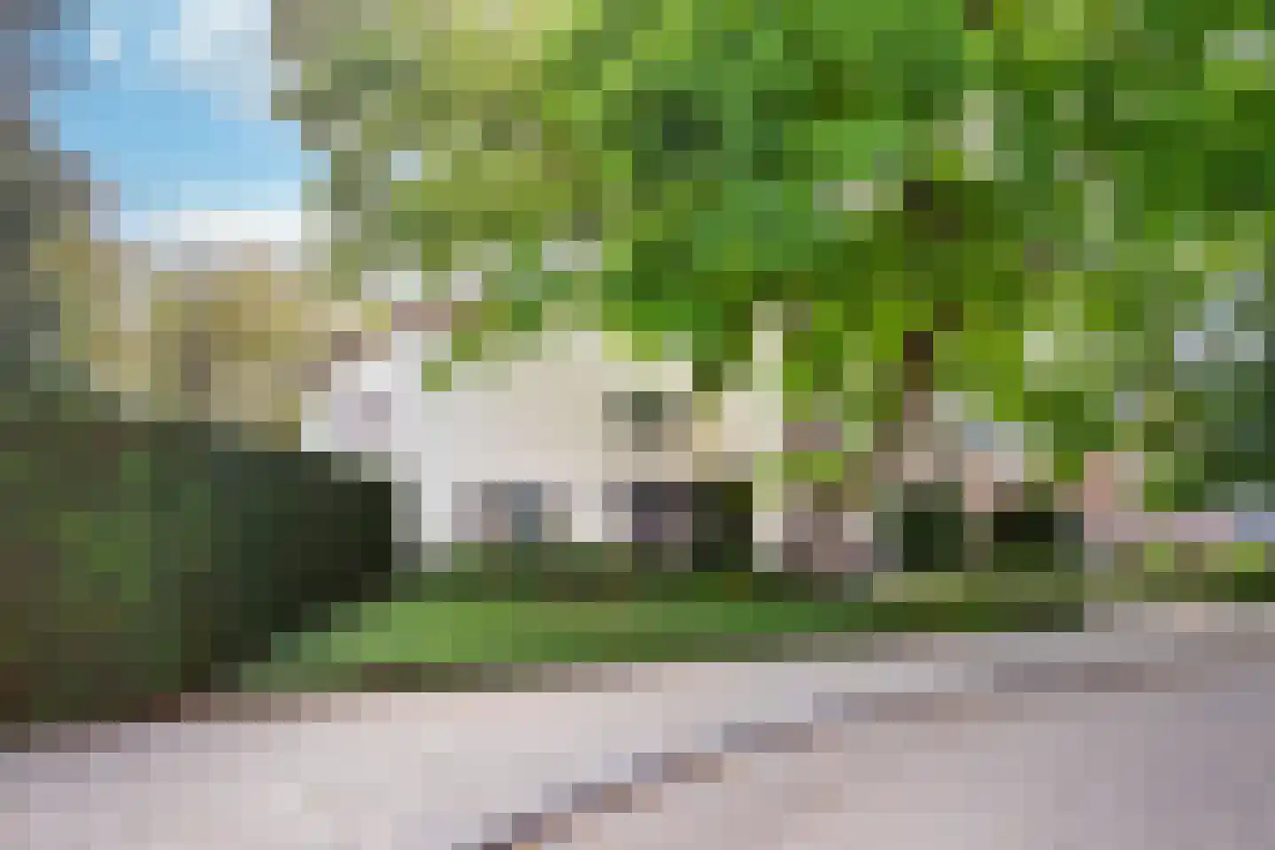Dorpstraat 128 Echt thumbnail 50