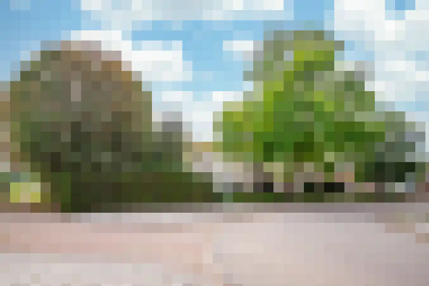 Dorpstraat 128 Echt thumbnail 51
