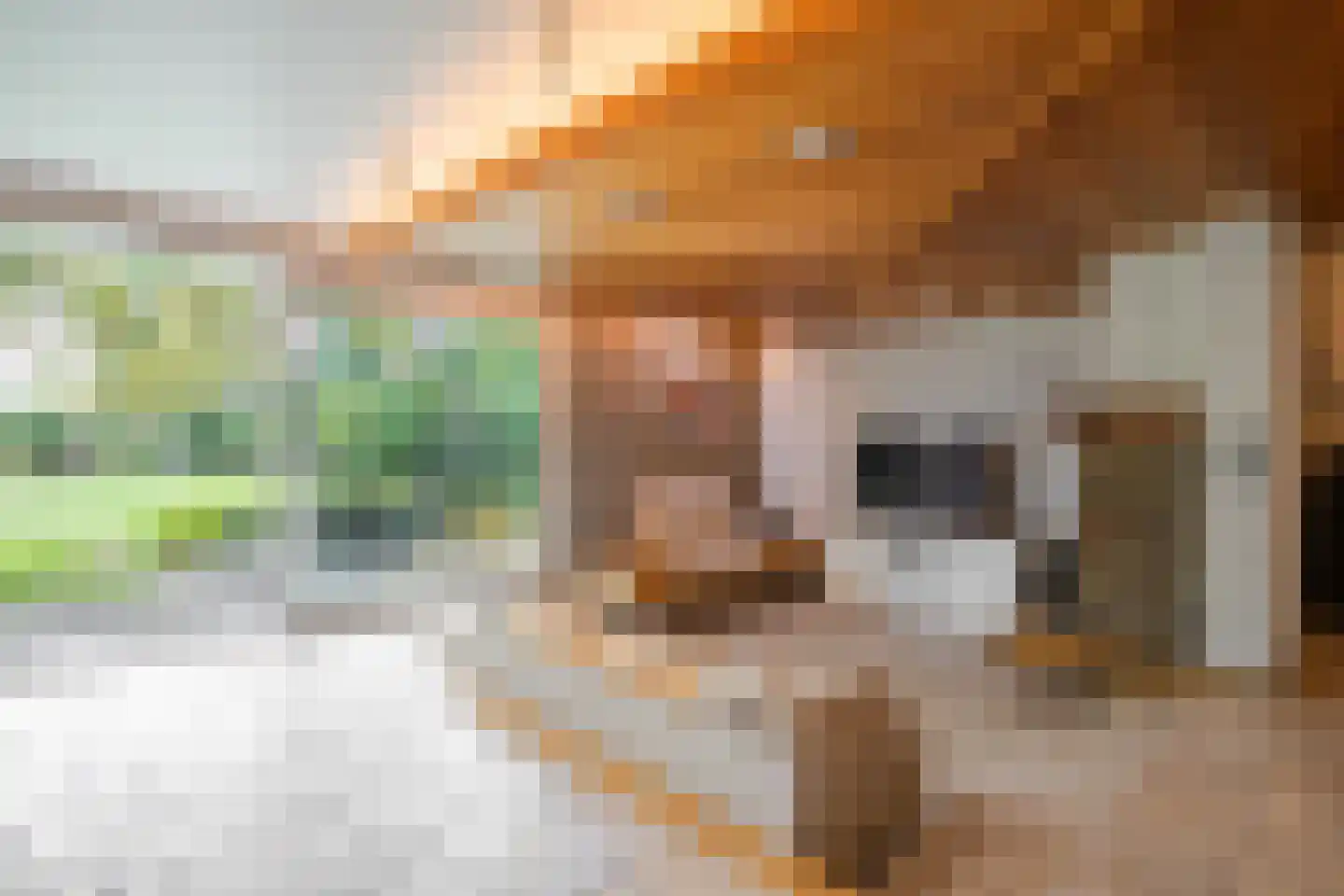 Dorpstraat 128 Echt thumbnail 6