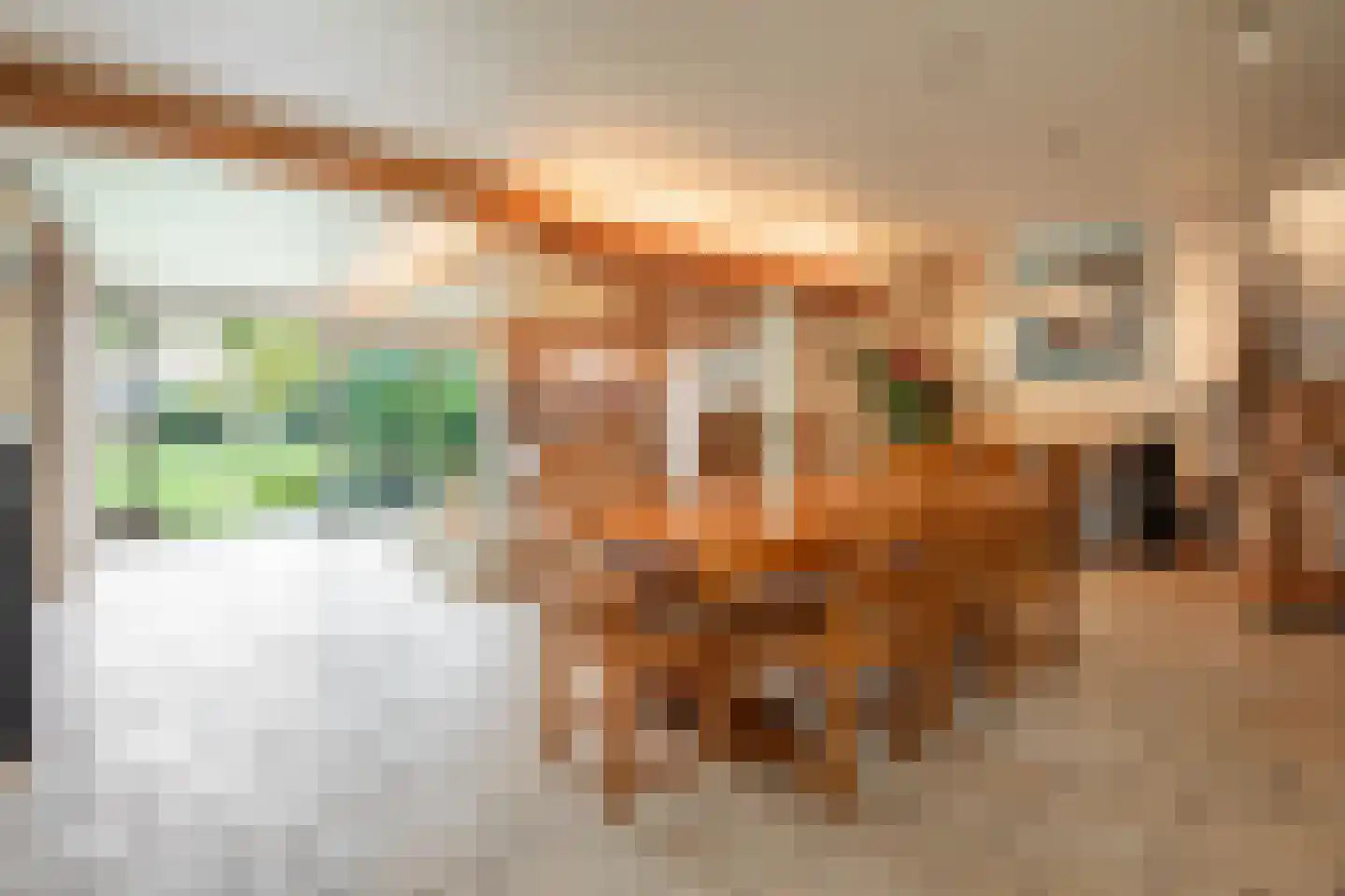 Dorpstraat 128 Echt thumbnail 7