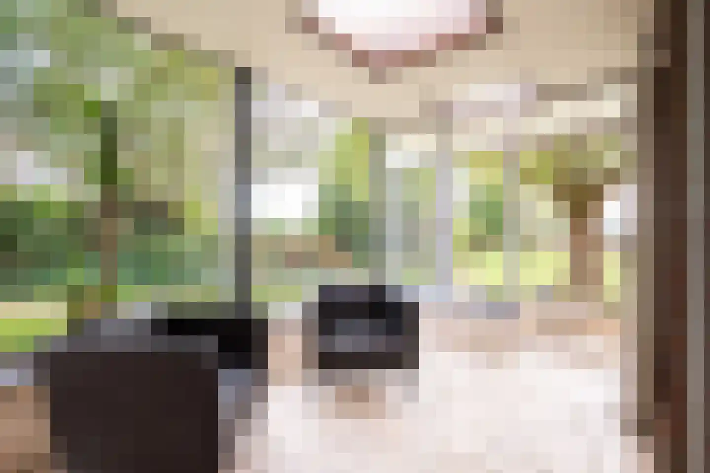 Dorpstraat 128 Echt thumbnail 8