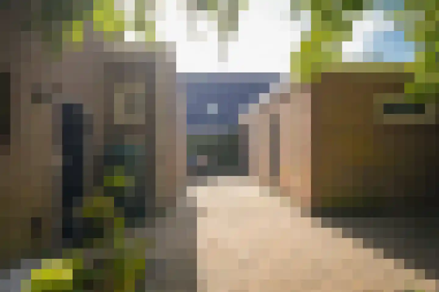 Dorpstraat 13 a Dreumel thumbnail 39