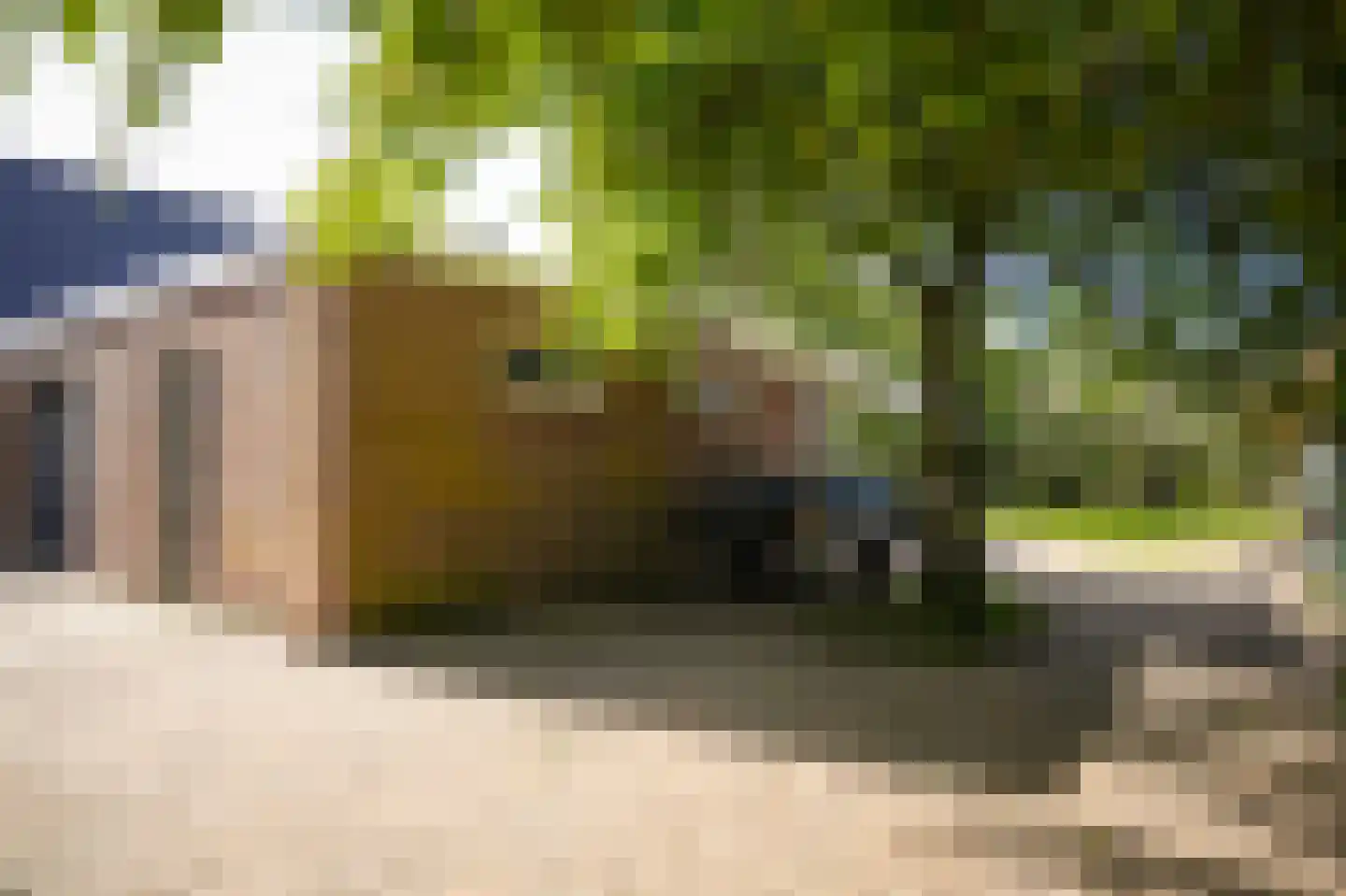 Dorpstraat 13 a Dreumel thumbnail 50