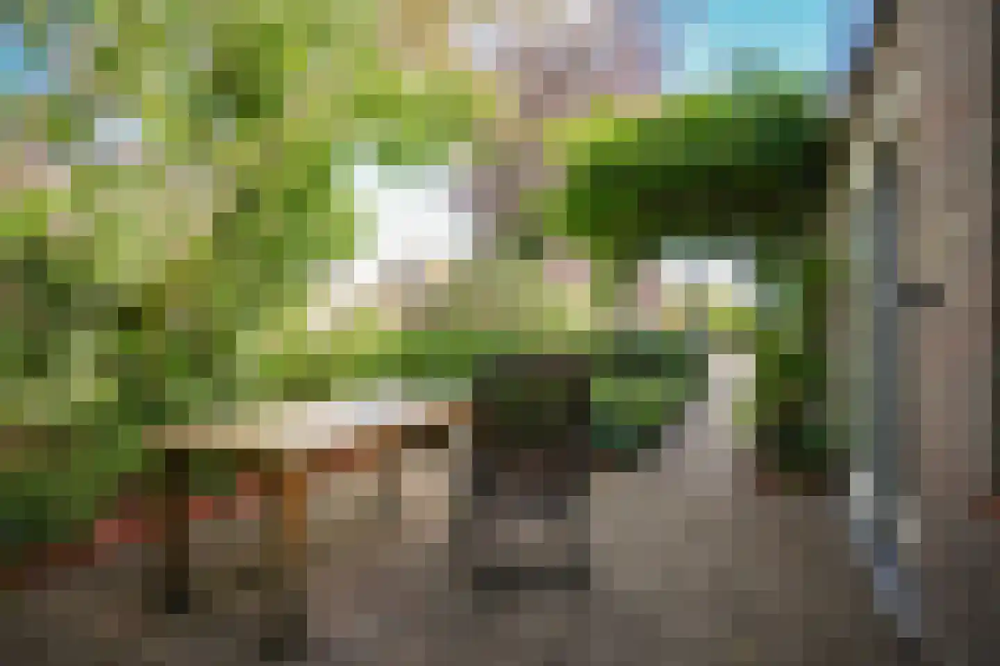 Dorpstraat 13 a Dreumel thumbnail 52