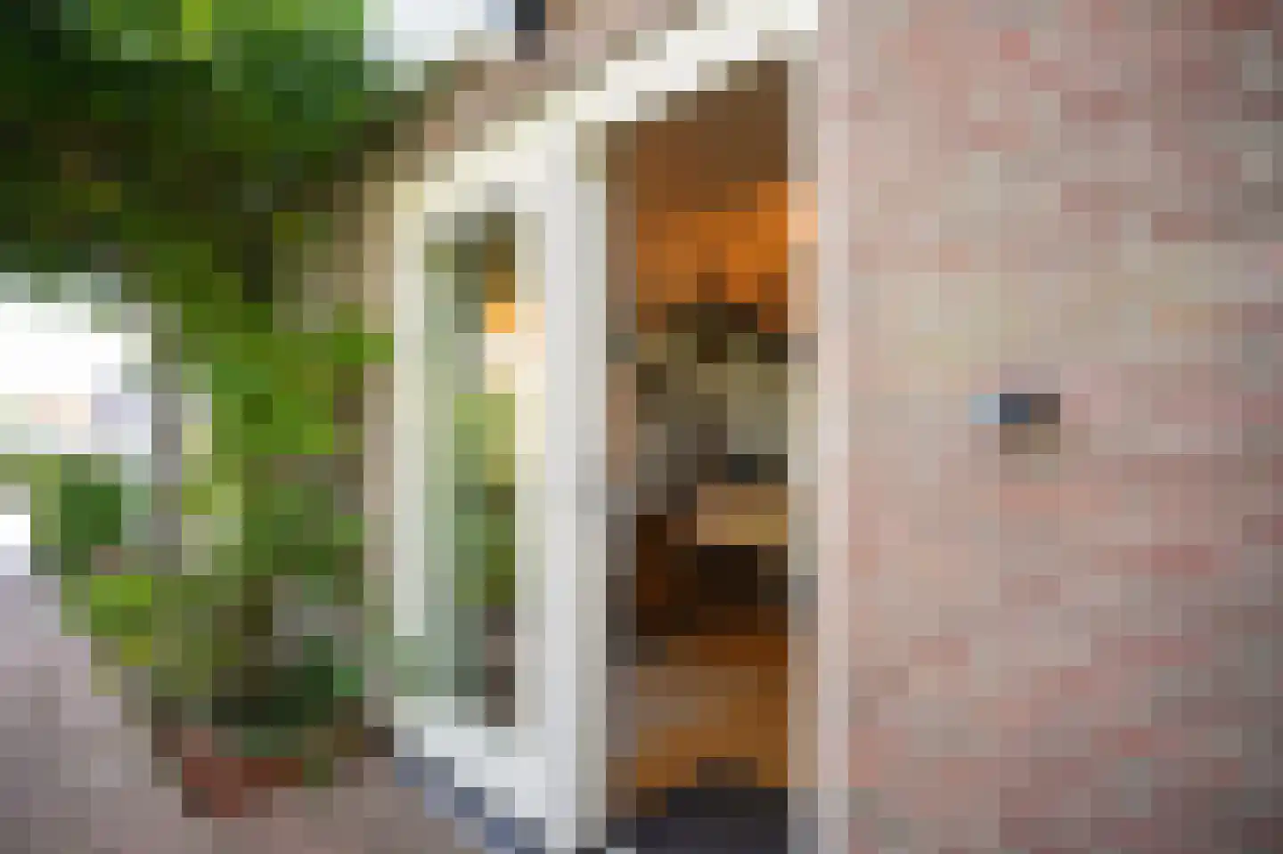 Dorpstraat 13 a Dreumel thumbnail 53