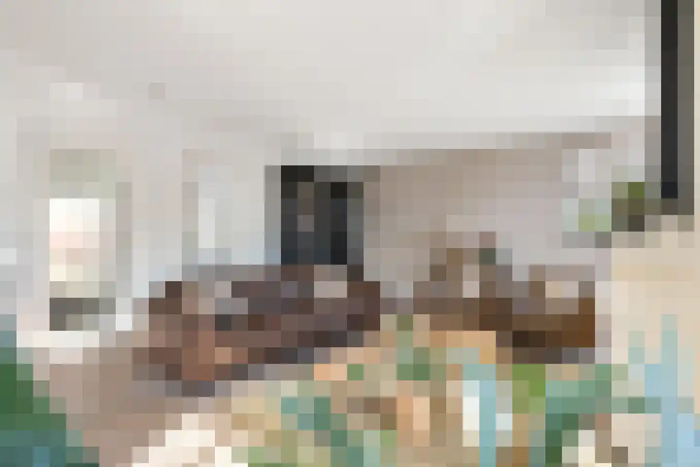 Dorpstraat 14 Horn thumbnail 13