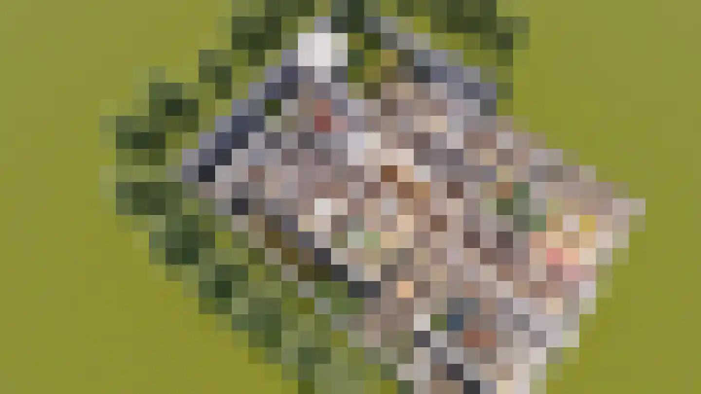 Dorpstraat 14 Horn thumbnail 20