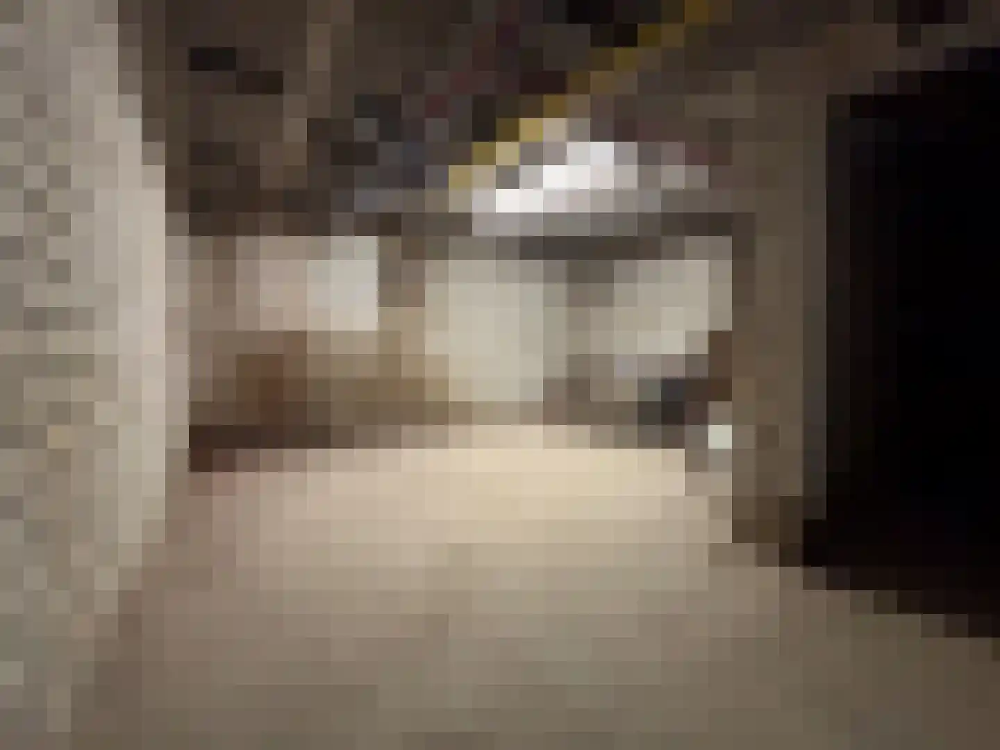 Dorpstraat 14 Horn thumbnail 21