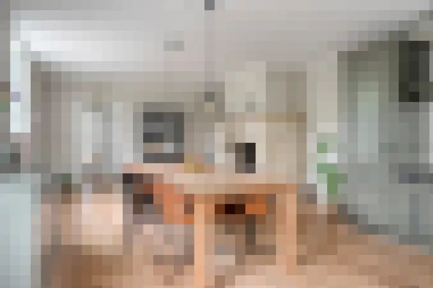 Dorpstraat 14 Linschoten thumbnail 21