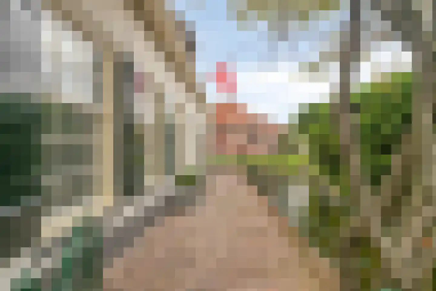 Dorpstraat 14 Linschoten thumbnail 26