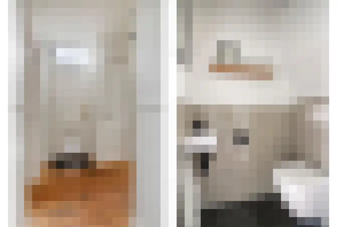 Dorpstraat 14 Linschoten thumbnail 32
