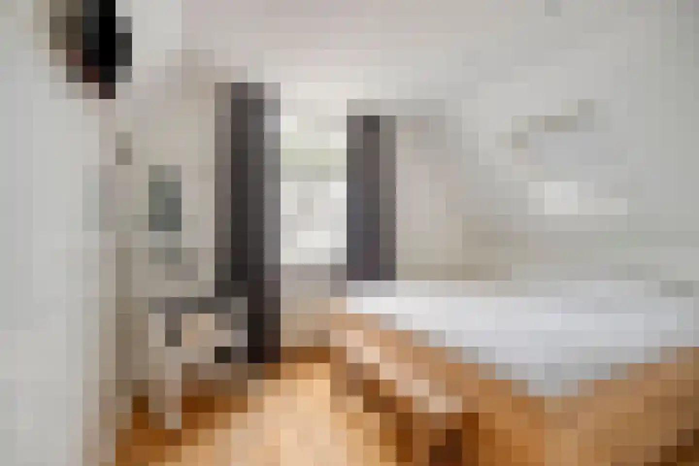 Dorpstraat 14 Linschoten thumbnail 34